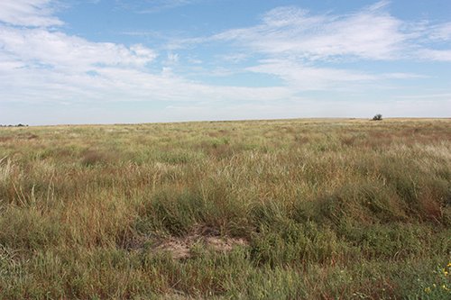 Property photo 58 - LAND AUCTION, 3255+/- Acres offered in 13 Tracts